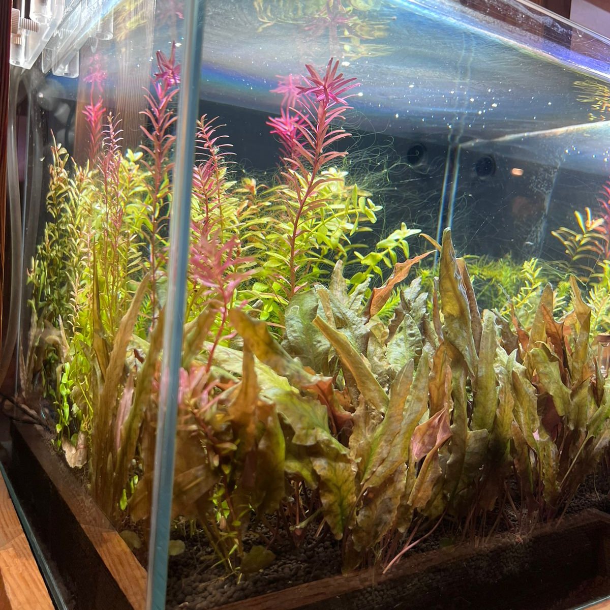 Discover Tranquility: Introducing the readymade Aquascape Experience