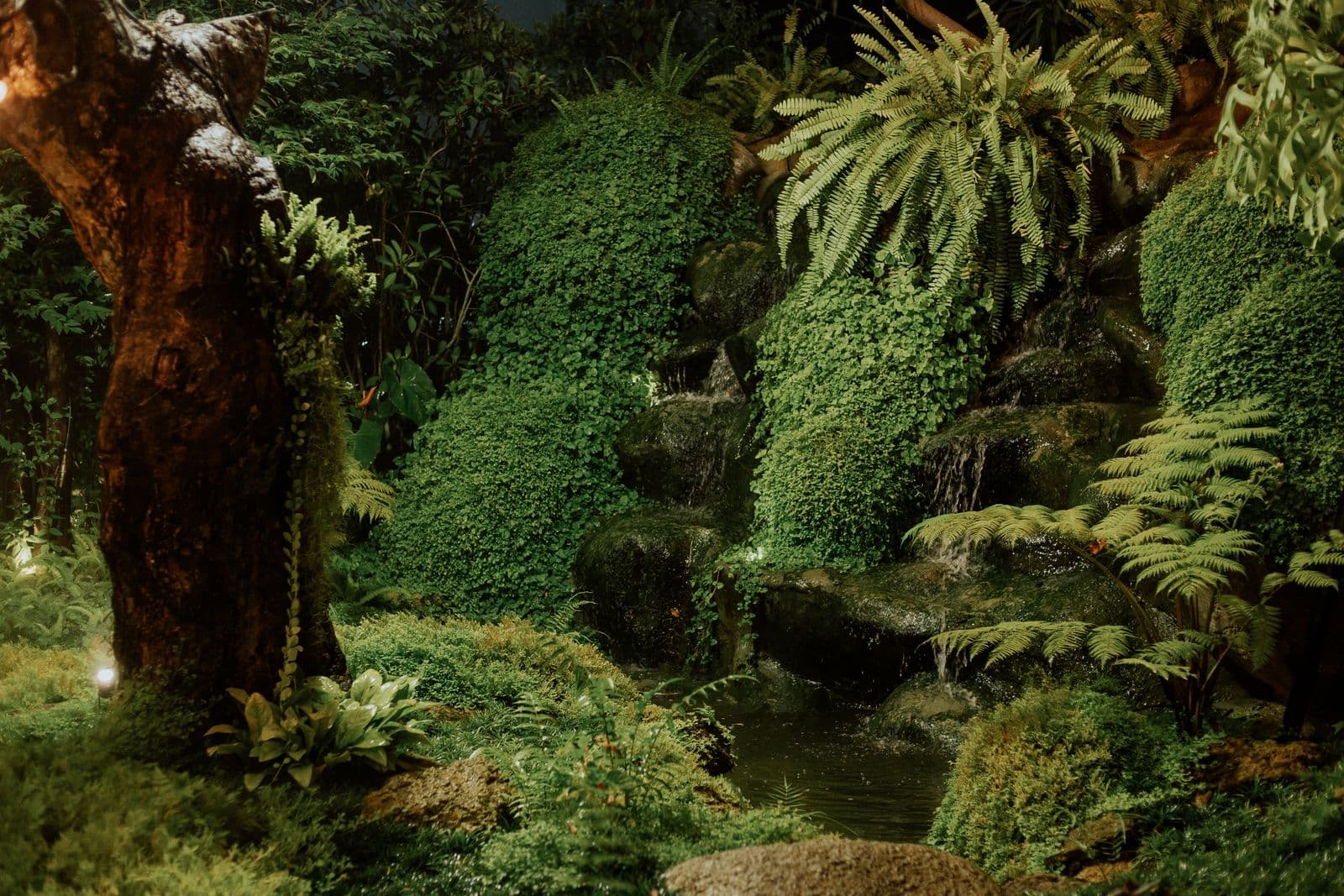 Introduction to Paludariums: The Rainforest in Your Room