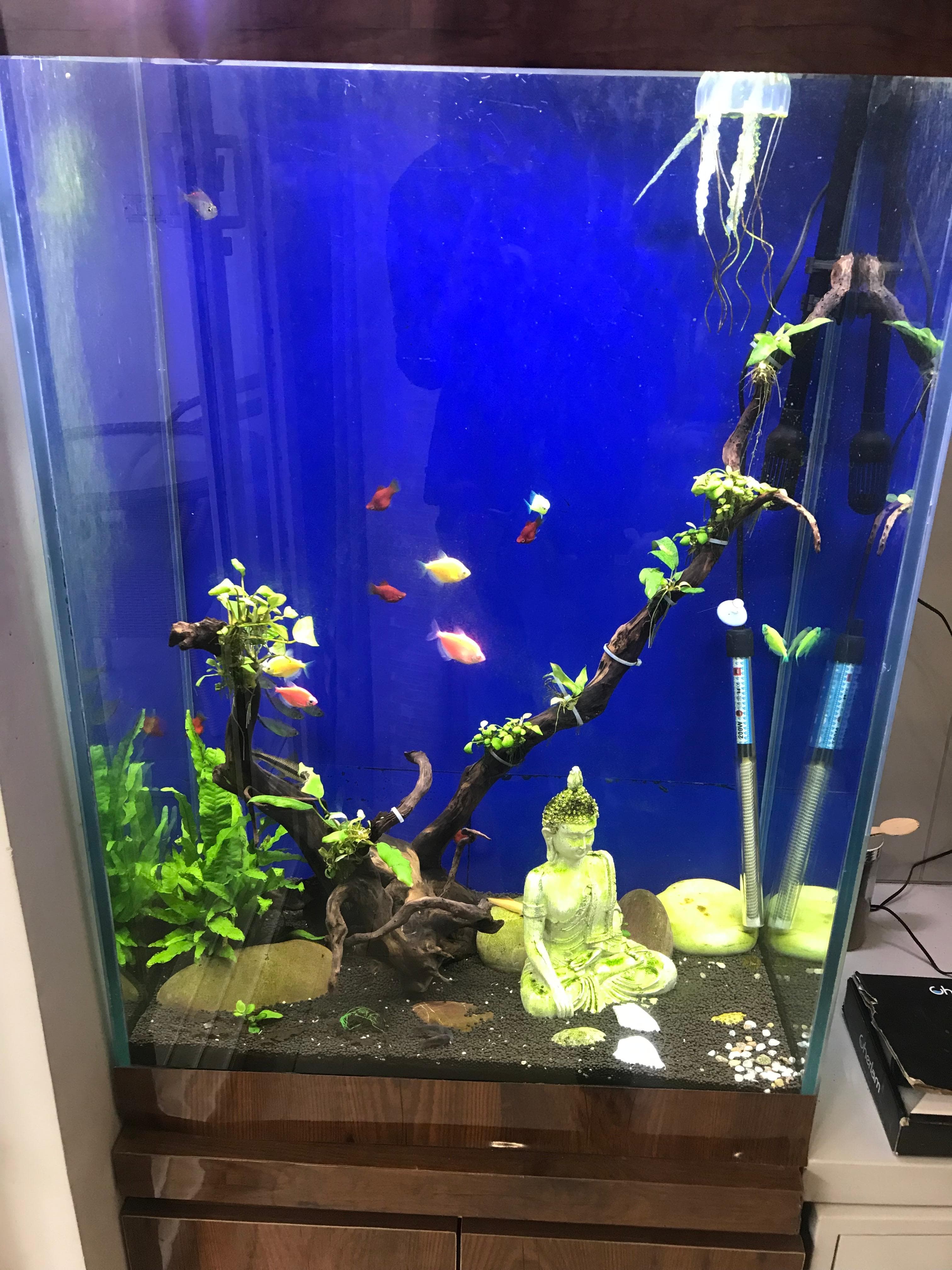 Zen Buddha Tank — Bedroom