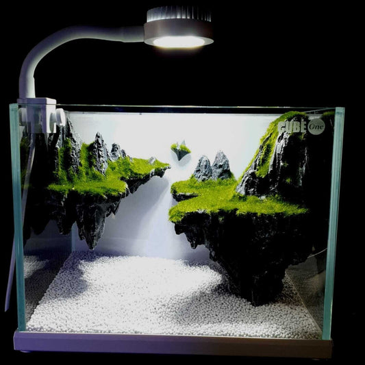 Cube One Mini Landscape Aquarium