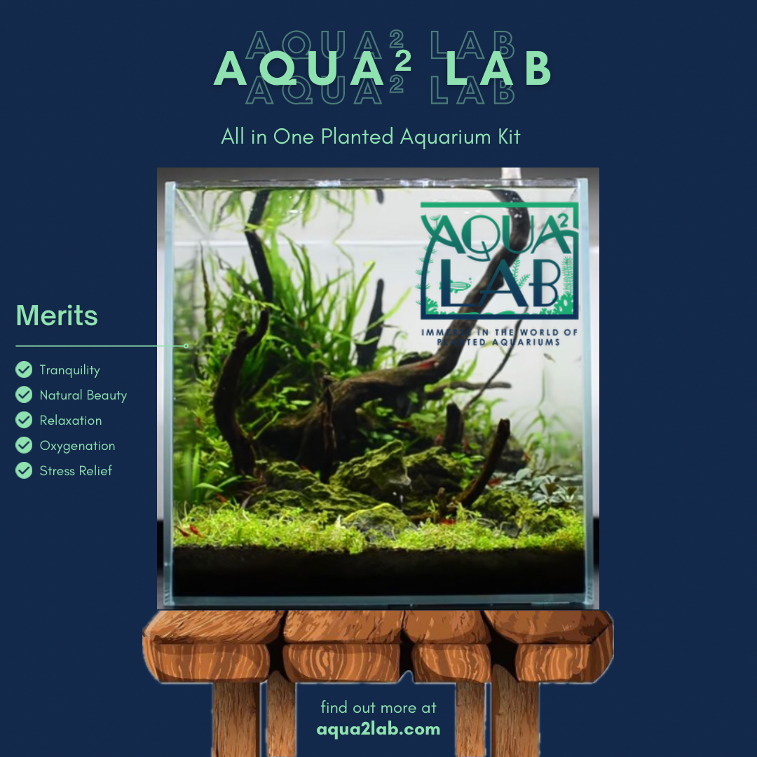 Aquascaping kit outlet