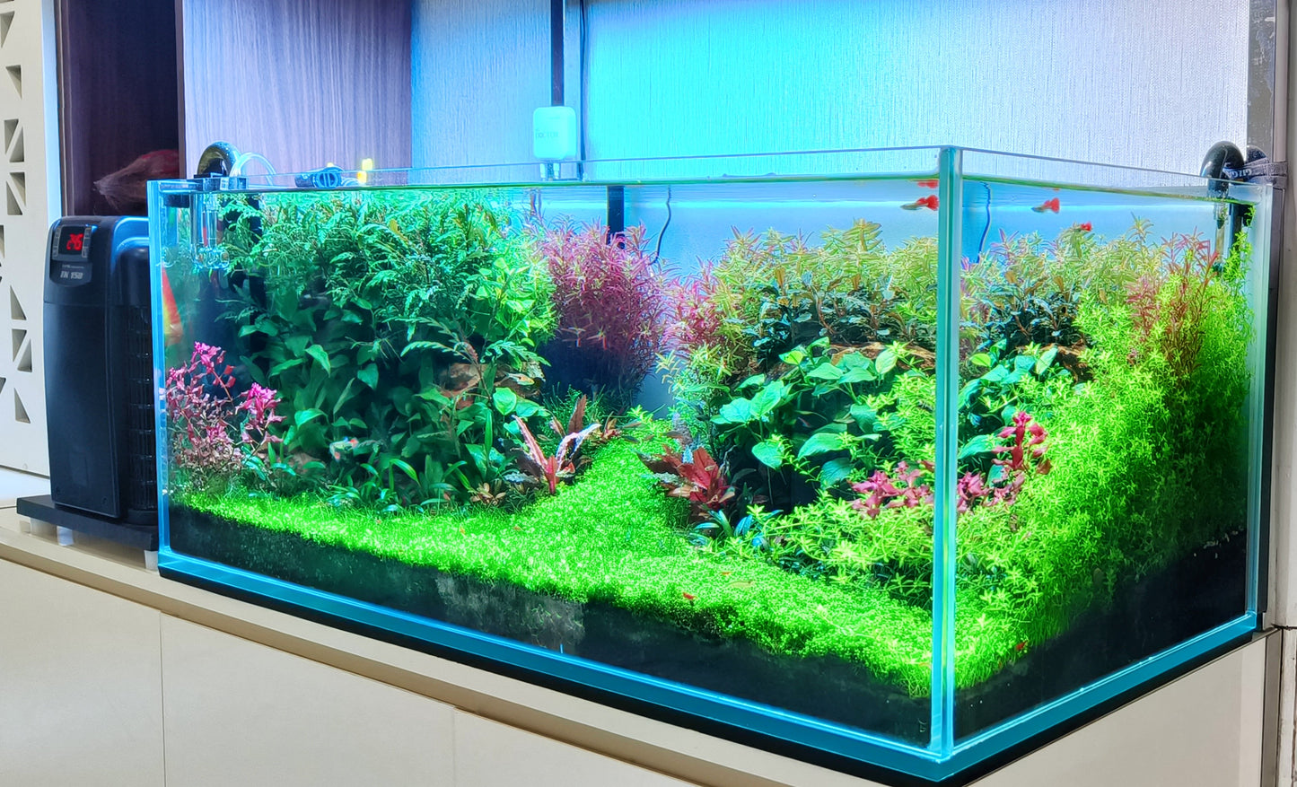 AquaScape Masterpieces: Handcrafted Living Art for Your Home