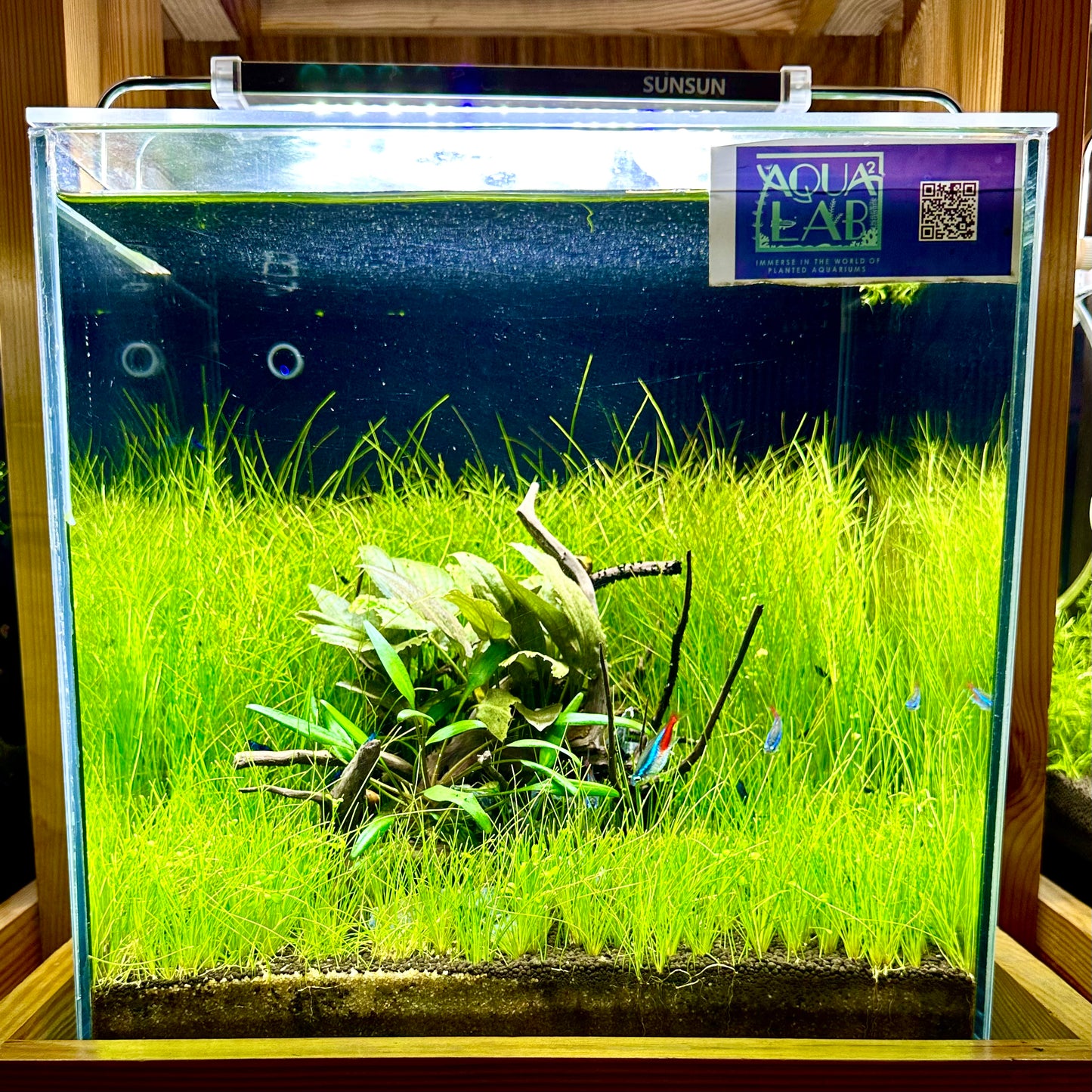 Aquascaping DIY Starter Kit