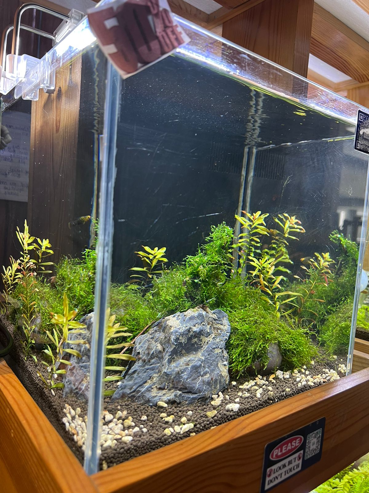 Discover Tranquility: Introducing the readymade Aquascape Experience ML1