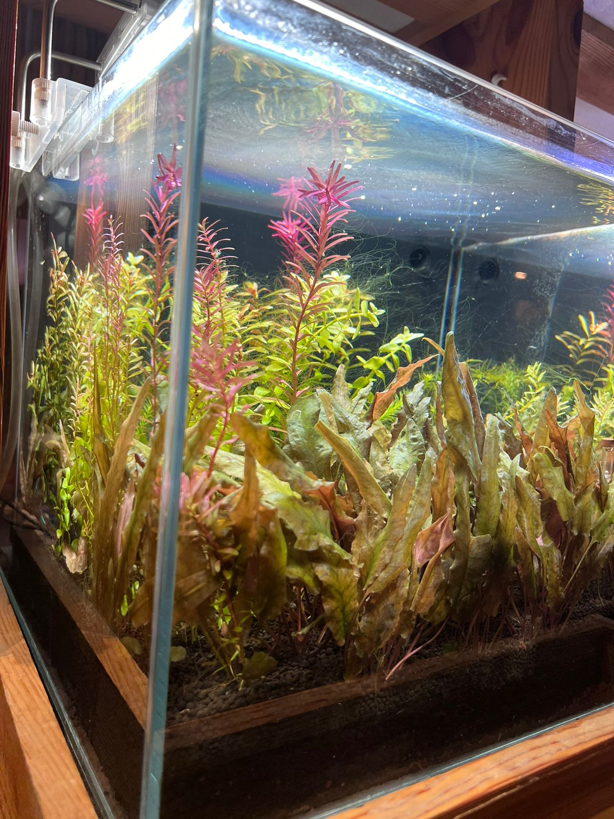 Discover Tranquility: Introducing the readymade Aquascape Experience