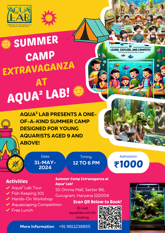 Kids and Adults : Summer Camp Aquatics: Dive into Fish Keeping!