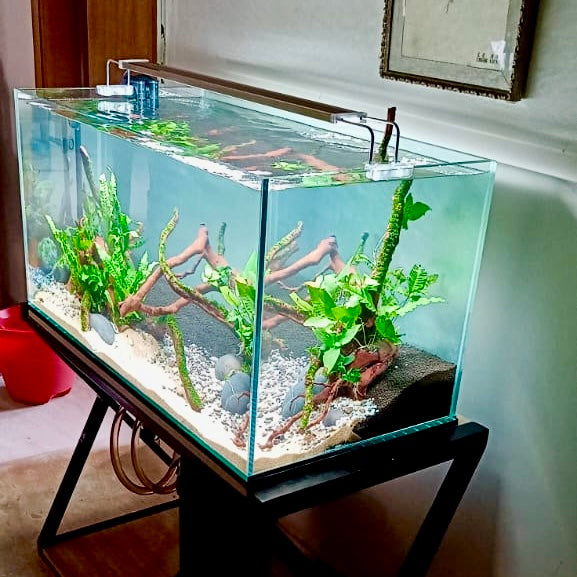 Customized Aquariums by Aqua² Lab